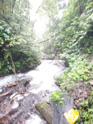 Banyu Wana Waterfalls
SprayWaterfall
Keywords: Bali:Waterfall