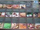 Filename=Coffee_Tea01.jpg
Filesize=640KiB
Dimensions=2048x1536
Date added=May 01, 2024 Coffee_Tea01.jpg