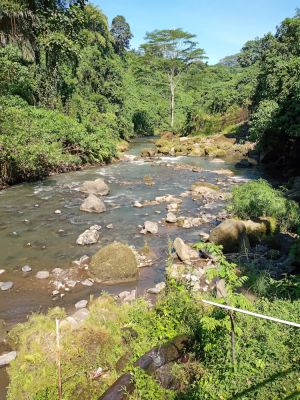 Ubud Waterfall
Keywords: Bali:Kuta;Nusa Penida West