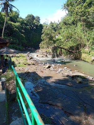 Ubud Waterfall
Keywords: Bali:Kuta;Nusa Penida West