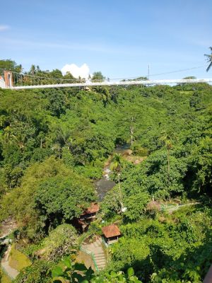 Ubud Glass Bridge
Keywords: Bali:Kuta;Nusa Penida West