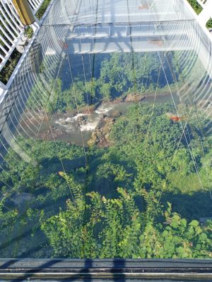 Ubud Glass Bridge
Keywords: Bali:Kuta;Nusa Penida West