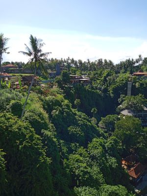 Ubud Glass Bridge
Keywords: Bali:Kuta;Nusa Penida West