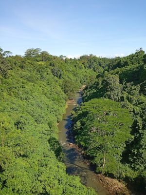 Ubud Glass Bridge
Keywords: Bali:Kuta;Nusa Penida West