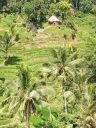 Bali20230411.jpg