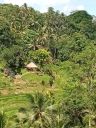 Bali20230412.jpg