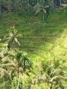Bali20230413.jpg