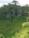 Filename=Bali20230414.jpg
Filesize=393KiB
Dimensions=750x1000
Date added=Nov 13, 2023 Bali20230414.jpg