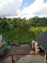 Filename=Bali20230415.jpg
Filesize=394KiB
Dimensions=750x1000
Date added=Nov 13, 2023 Bali20230415.jpg