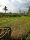 Bali20230439.jpg