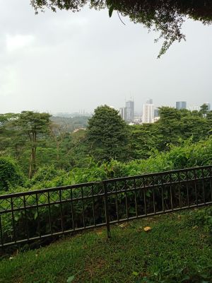 Mount Faber
Mountain View
Keywords: Singapore