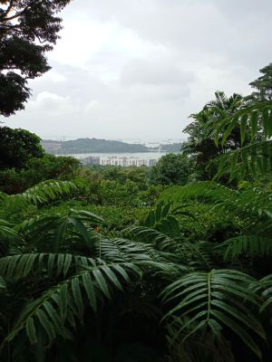 Mount Faber
Mountain View
Keywords: Singapore