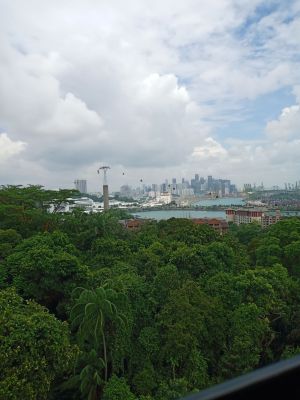 Sentosa
Cable Car Singapore View
Keywords: Singapore