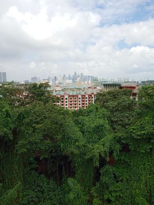 Sentosa
Cable Car Singapore View
Keywords: Singapore