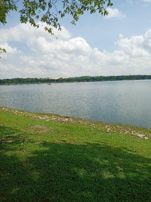 Bedok Reservoir 
View from gravel trail.
Keywords: Singapore;Nature;Park