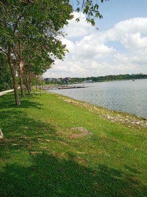Bedok Reservoir 
View of floating deck from gravel trail.
Keywords: Singapore;Nature;Park
