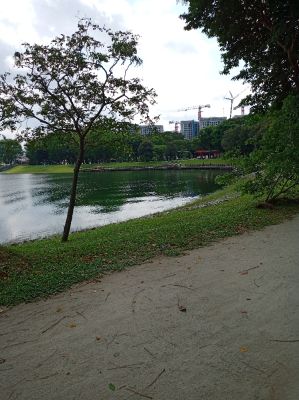 Bedok Reservoir 
Fishing Deck 
Keywords: Singapore;Nature;Park