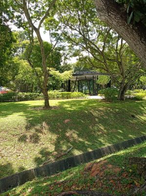 Bedok Reservoir 
Shelter
Keywords: Singapore;Nature;Park