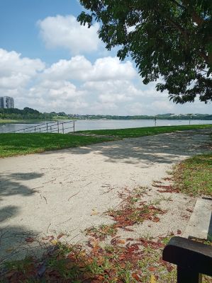 Bedok Reservoir 
View from gravel trail.
Keywords: Singapore;Nature;Park