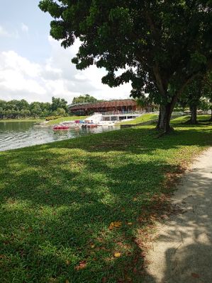Bedok Reservoir 
Water Activity Center
Keywords: Singapore;Nature;Park