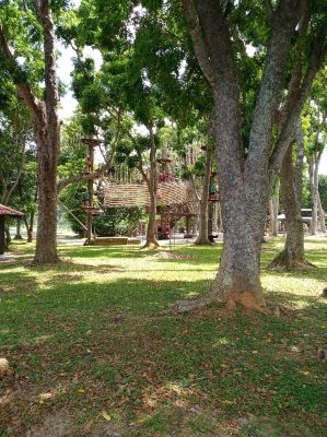 Bedok Reservoir 
Forest Adventure
Keywords: Singapore;Nature;Park