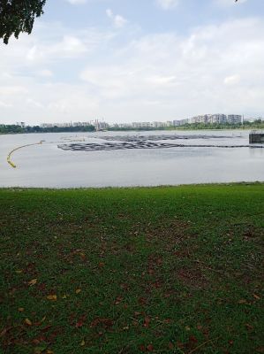 Bedok Reservoir 
Pumping Station 
Keywords: Singapore;Nature;Park