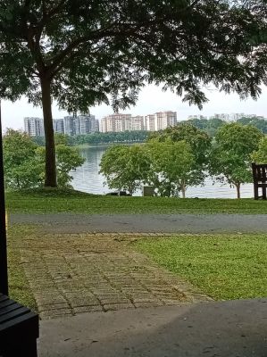 Bedok Reservoir 
View from top trail.
Keywords: Singapore;Nature;Park