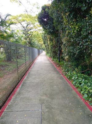 Sixth Avenue 
Coast-to-Coast Trail along Sixth Avenue 
Keywords: Singapore;Nature;Park