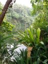 bbnp06.jpg