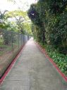Filename=btrn02.jpg
Filesize=742KiB
Dimensions=749x1000
Date added=May 20, 2024 btrn02.jpg