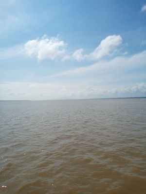 Ferry 1
Longest Crossing
