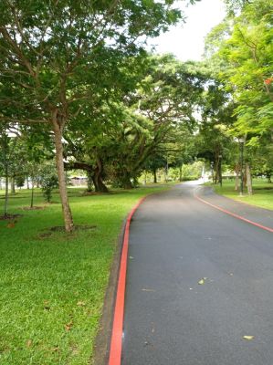 Changi Village 
Changi Point Costal Walkway
Keywords: Singapore;April