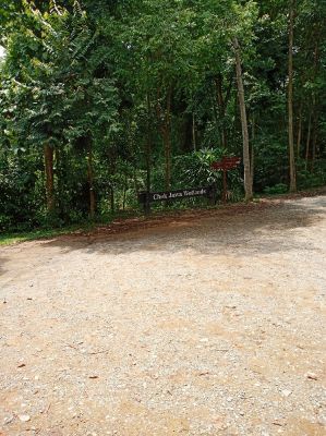 Pulau Ubin
Chek Jawa Wetlands 
Keywords: Singapore;April