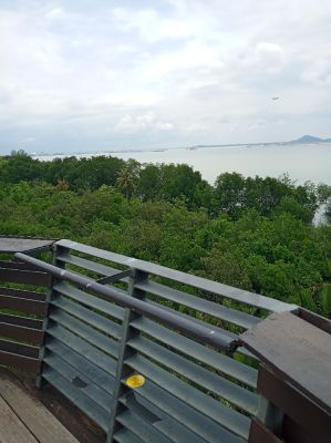 Pulau Ubin
Wetland Tower View
Keywords: Singapore;April