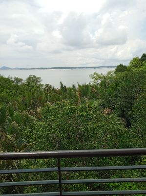 Pulau Ubin
Wetland Tower View
Keywords: Singapore;April