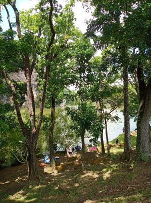 Little Guilin 
Official Park Name is Bukit Batok Town Park
Keywords: Singapore;Nature;Park