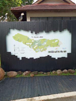 Pulau Ubin
Island Map
Keywords: Singapore;April