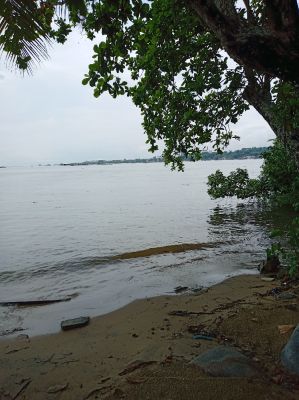 Pulau Ubin
Keywords: Singapore;April